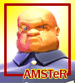   AMSTeR